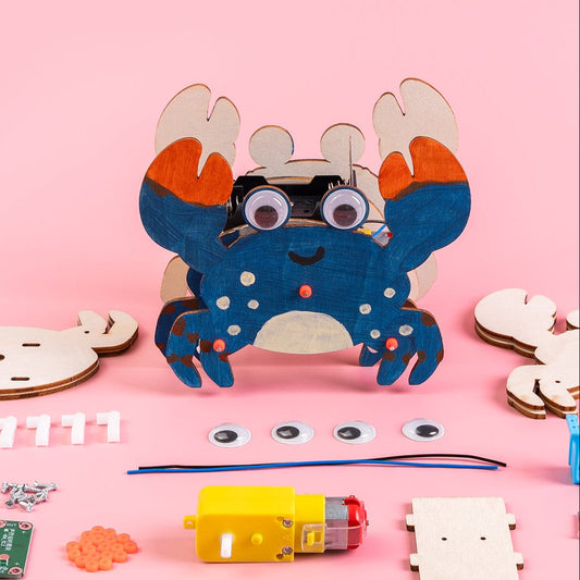 Sound-Activated Walking Crab STEM Kit – Build, Paint & Watch It Walk Kitsville