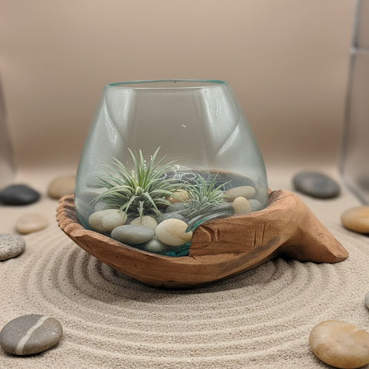 Carved Wooden Hand and Molten Glass Terrarium