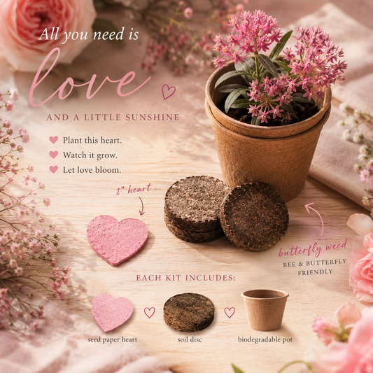 Plant Love Grow Kit CYDesignStudio