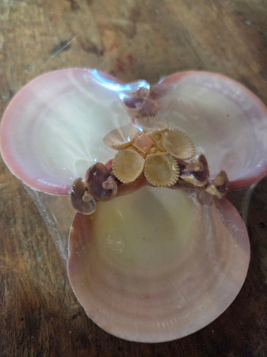 Vintage Tigerina Clam Shell Dish Trio