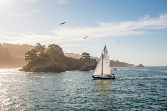 Living With the Ocean as Our Guide: Lessons From the California Coast