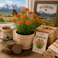 Wyoming Butterfly Weed Wildflower Grow Kit