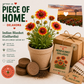 Oklahoma Indian Blanket Wildflower Grow Kit