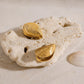 18K gold open sea clam with textured design exquisite and fashionable earrings