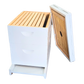 8-Frame Deep and Medium Box Hive Kit