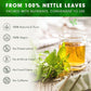 Premium Nettle Leaf Tea Bags, 100% Natural & Pure, Stinging Nettle Leaf Tea, Nettle Leaf Tea, Burn Nettle, Stinging Nettle, Nettle Tea, Stinger Tea, No Sugar/Caffeine & Gluten, Vegan