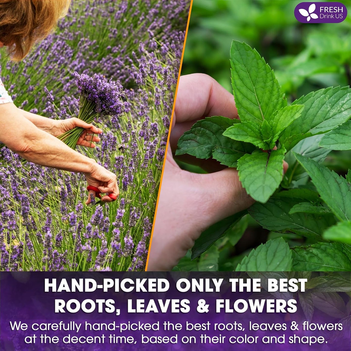Premium Lavender Mint Tea Bags. 100% Natural, Blend of Lavender, Peppermint, Sage and Licorice.