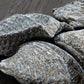 Brachiopod - Pocket Fossil