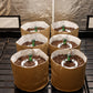 Preset Blumat Grow Tent Irrigation Kit