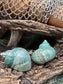 Large Polished Jade Turbo Shell - Turbo burgessi