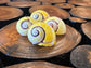 Yellow Polymita picta Shell with Stripe