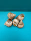 Hirase-gin-ebisu Top Shell- Bathybembix argenteonitens hirasei with Documentation