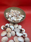 Processed Whale’s Eye Moon Snail Shells – 1" & 1-1.5" Craft Shells (Neverita didyma)