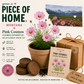 Montana Pink Cosmos Grow Kit