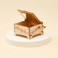 Music Box DIY Kit, Educational STEM Toy Kitsville