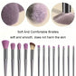 Professional 13-Piece Makeup Brush Set | Complete Cosmetic Tool Kit