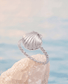Salt + Sea 'Seashells Are Love Letters In The Sand' Locket Ring