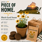 Virginia Black-Eyed Susan Grow Kit
