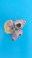 Barnacle with Scallop Display Shell – Premium Coastal Home Decor Specimen