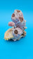 Barnacle with Scallop Display Shell – Premium Coastal Home Decor Specimen