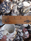 Black and Pearl Pica Magpie Turbo Shells Caribbean Gulf Seashells