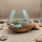 Carved Wooden Hand and Molten Glass Terrarium
