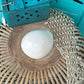 Giant Indian White Melon Volute Shell, Melo melo, 5-7"