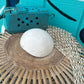 Giant Indian White Melon Volute Shell, Melo melo, 5-7"