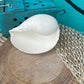 Giant Indian White Melon Volute Shell, Melo melo, 5-7"
