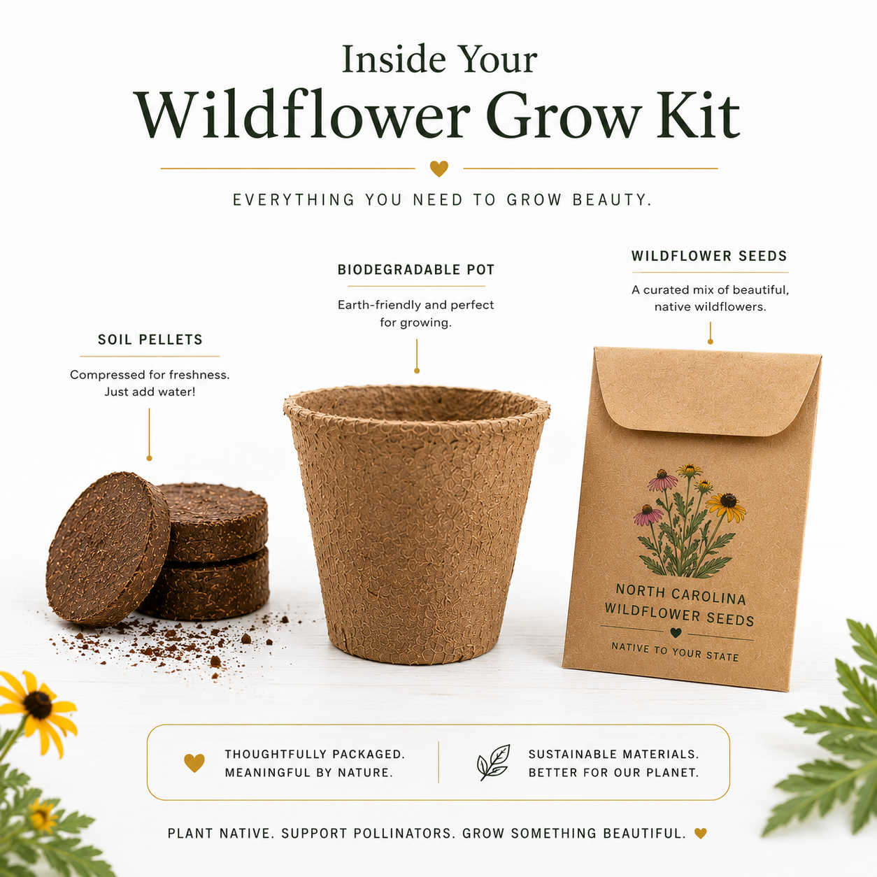 Nevada Lupine Grow Kit