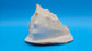 Large Queen Helmet Shell Cassis madagascariensis  – 7.1"