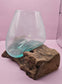 Small/Medium Teak Root Driftwood and Molten Glass Terrarium- Single Globe