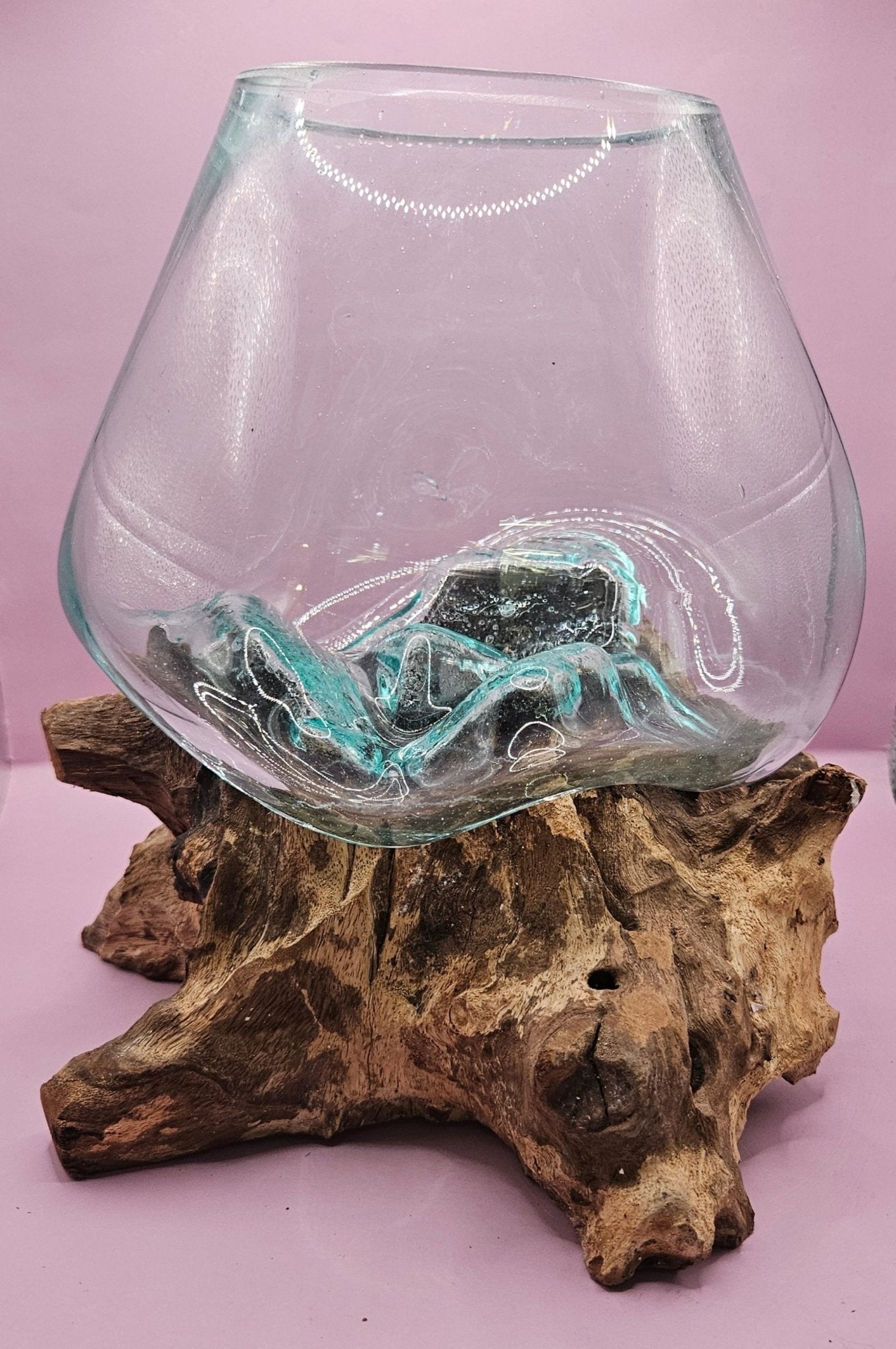 Small/Medium Teak Root Driftwood and Molten Glass Terrarium- Single Globe