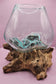 Small/Medium Teak Root Driftwood and Molten Glass Terrarium- Single Globe