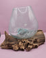 Small/Medium Teak Root Driftwood and Molten Glass Terrarium- Single Globe