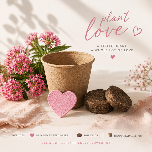 Plant Love Grow Kit CYDesignStudio