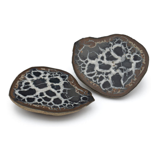 Septarian Nodules