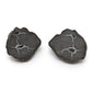 Septarian Nodules
