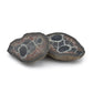 Septarian Nodules