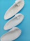Set of 3 Angel Wing Shells – 3.5" to 4.5