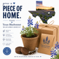 Texas Bluebonnet Grow Kit