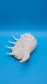 White Lambis Truncata Shell (Lambis truncata) – 11.75"